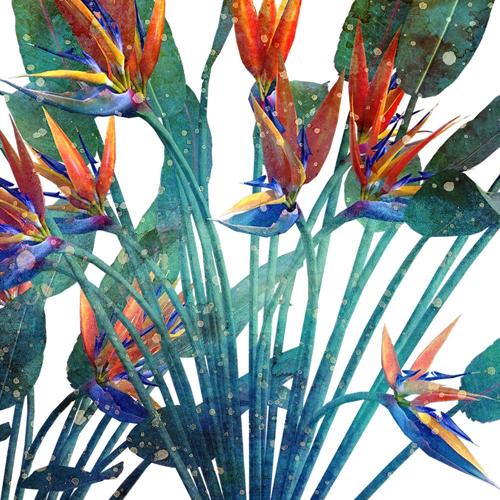 Tropic Flower 1 art print by Kimberly Allen for $57.95 CAD