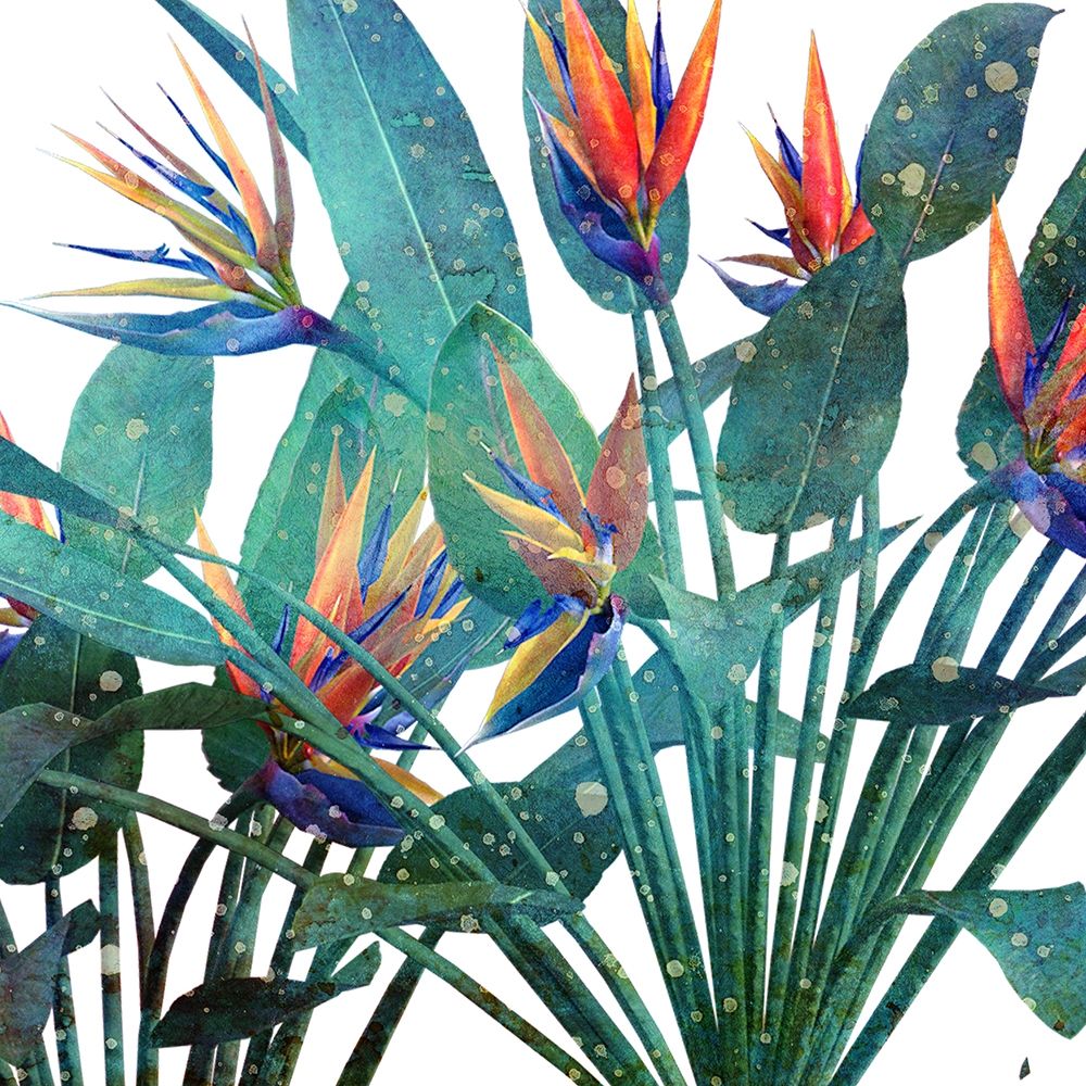 Tropic Flower 2 art print by Kimberly Allen for $57.95 CAD
