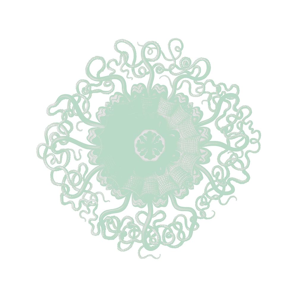 Mint Spirals 2 art print by Kimberly Allen for $57.95 CAD