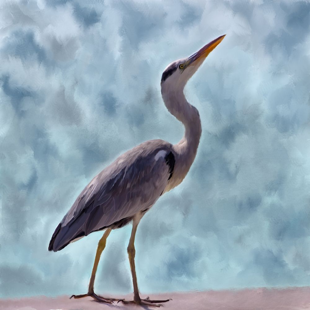 Heron art print by Kimberly Allen for $57.95 CAD