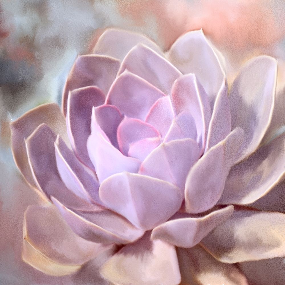 Painted Succulent 1 art print by Kimberly Allen for $57.95 CAD