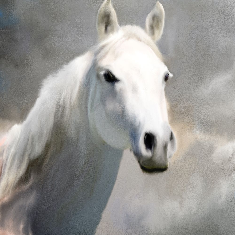 White Night art print by Kimberly Allen for $57.95 CAD