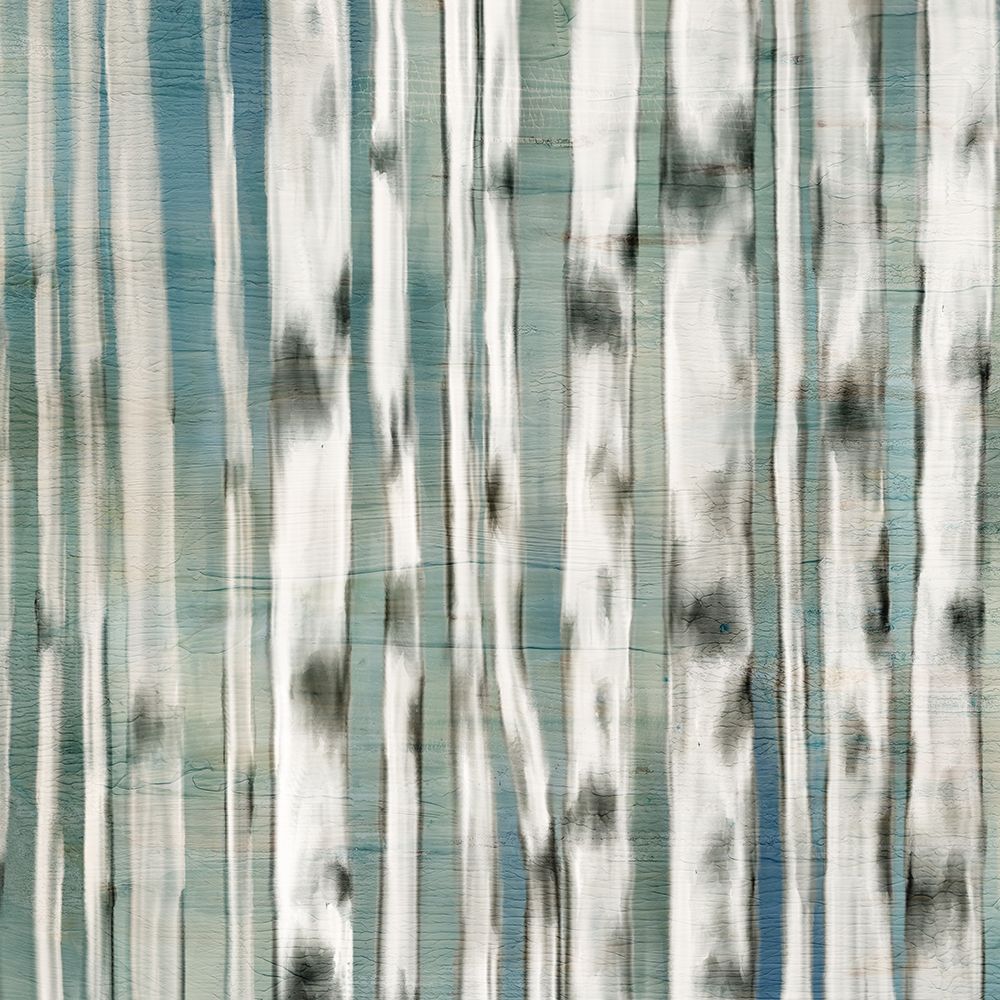 Birches 1 art print by Kimberly Allen for $57.95 CAD