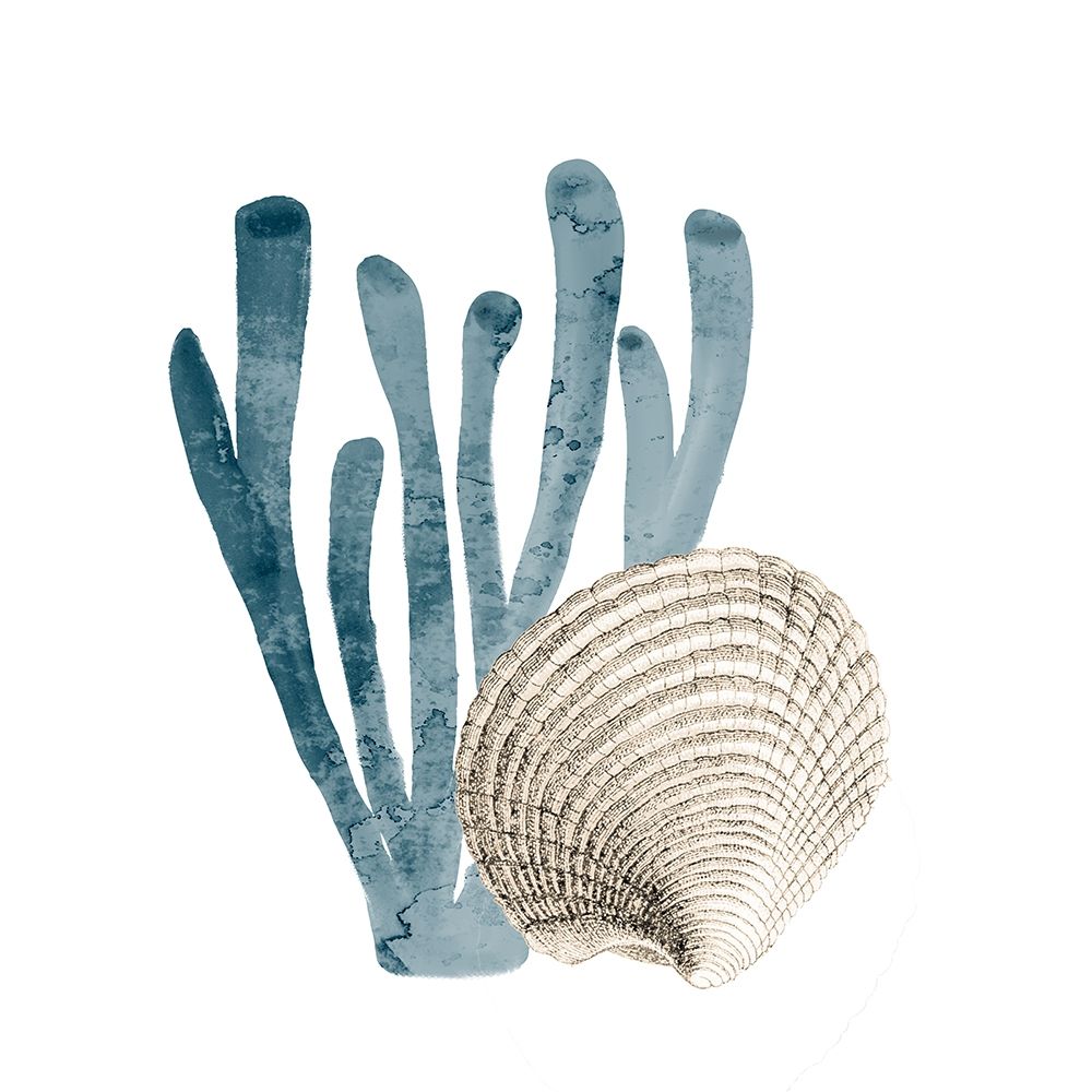 Coral Cove Blue 4 art print by Kimberly Allen for $57.95 CAD