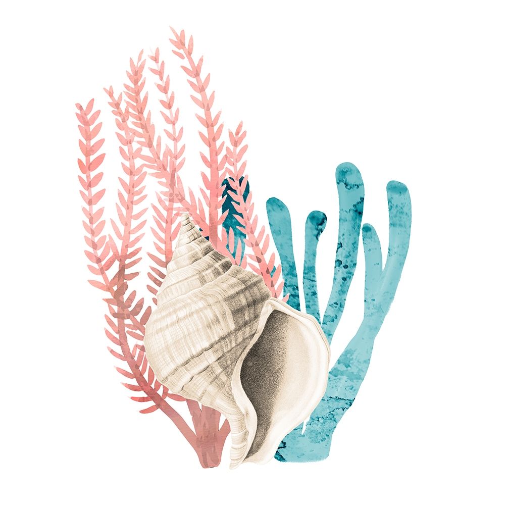 Coral Cove 2 art print by Kimberly Allen for $57.95 CAD