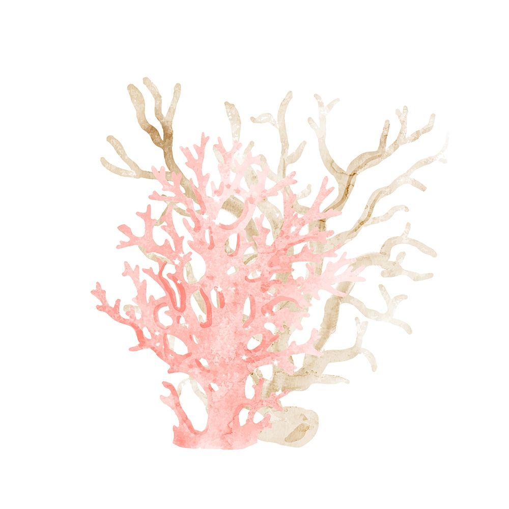 Coral Cove 3 art print by Kimberly Allen for $57.95 CAD
