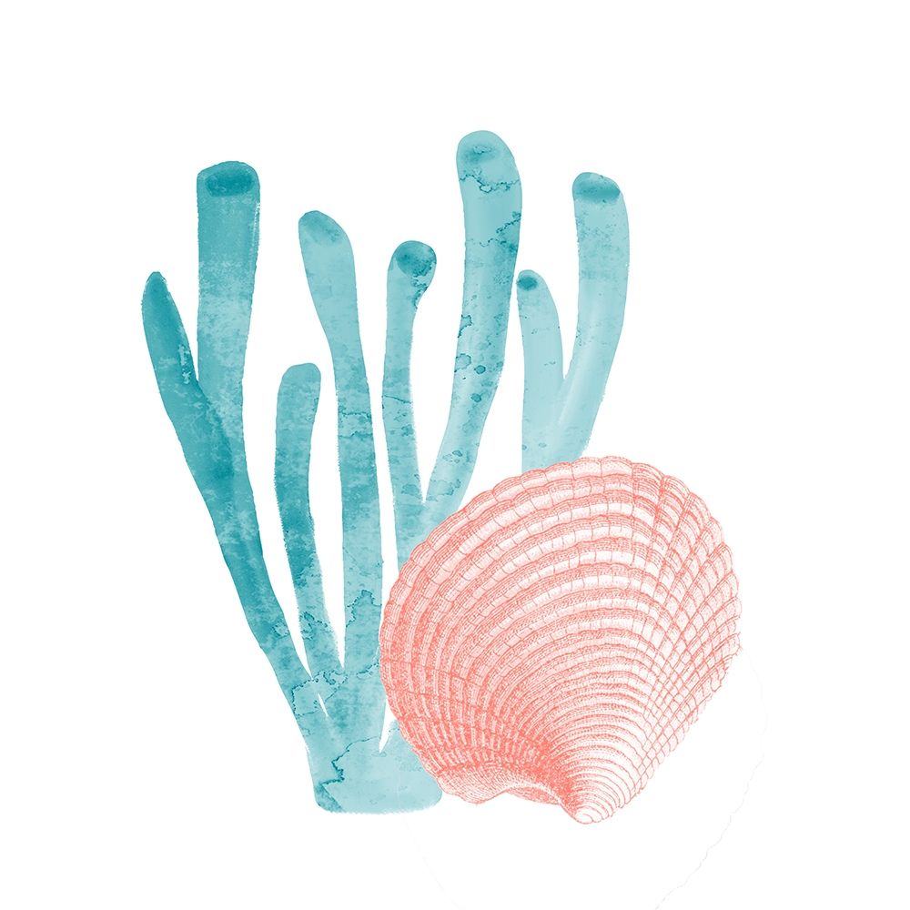 Coral Cove 4 art print by Kimberly Allen for $57.95 CAD