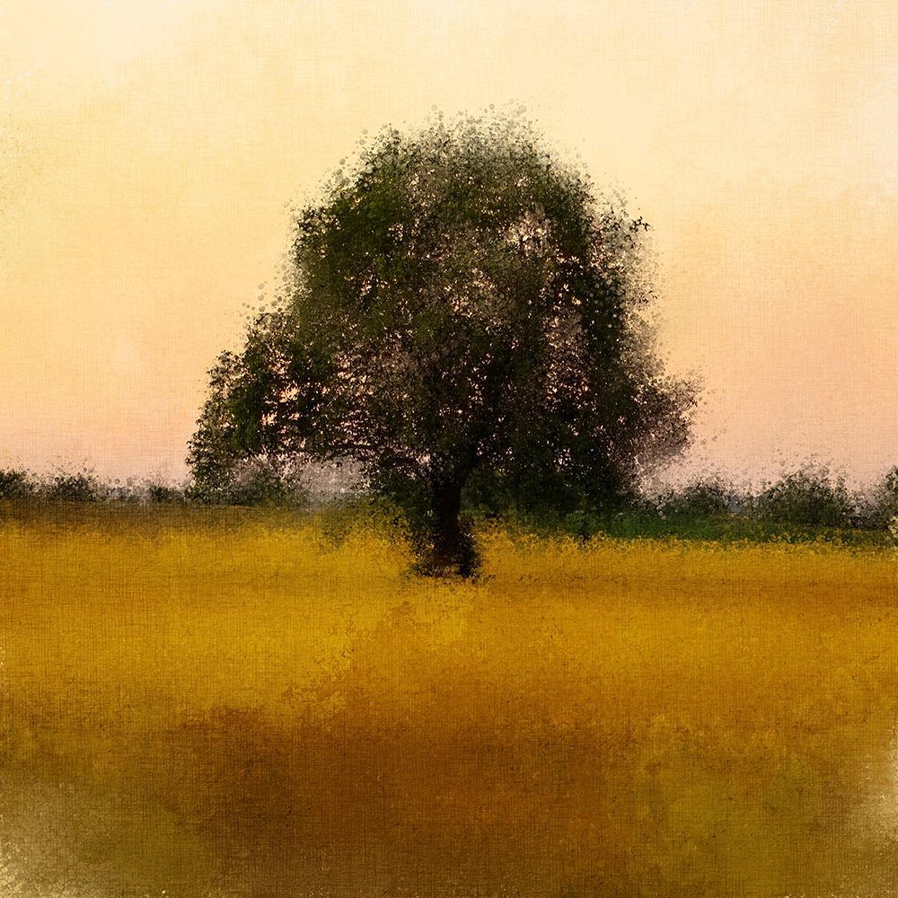 Evening Sky art print by Kimberly Allen for $57.95 CAD