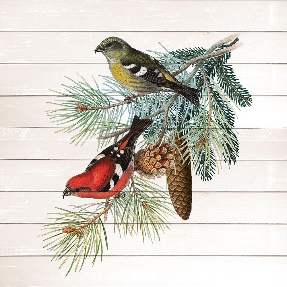 Winter Bird 2 art print by Kimberly Allen for $57.95 CAD