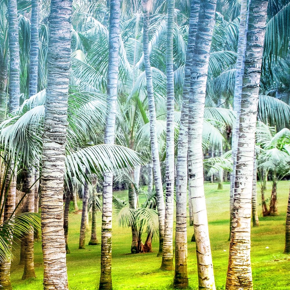 Palm Tree Forest 2 art print by Kimberly Allen for $57.95 CAD