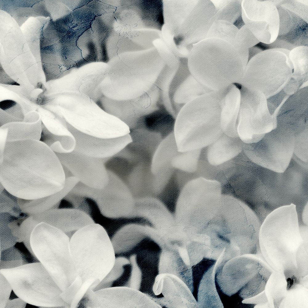 Lilac Blooms 2 art print by Kimberly Allen for $57.95 CAD