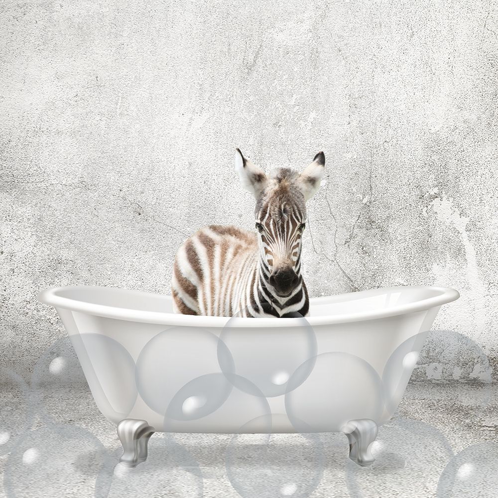 Baby Zebra Bath art print by Kimberly Allen for $57.95 CAD