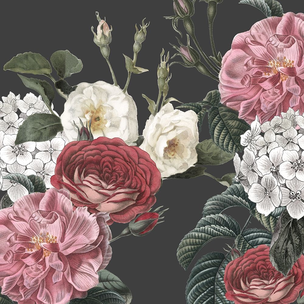 Isabella Floral art print by Kimberly Allen for $57.95 CAD