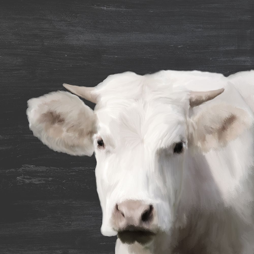 Whitey art print by Kimberly Allen for $57.95 CAD