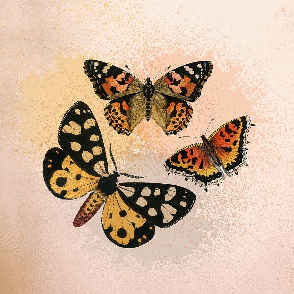 Butterfly Flight art print by Kimberly Allen for $57.95 CAD