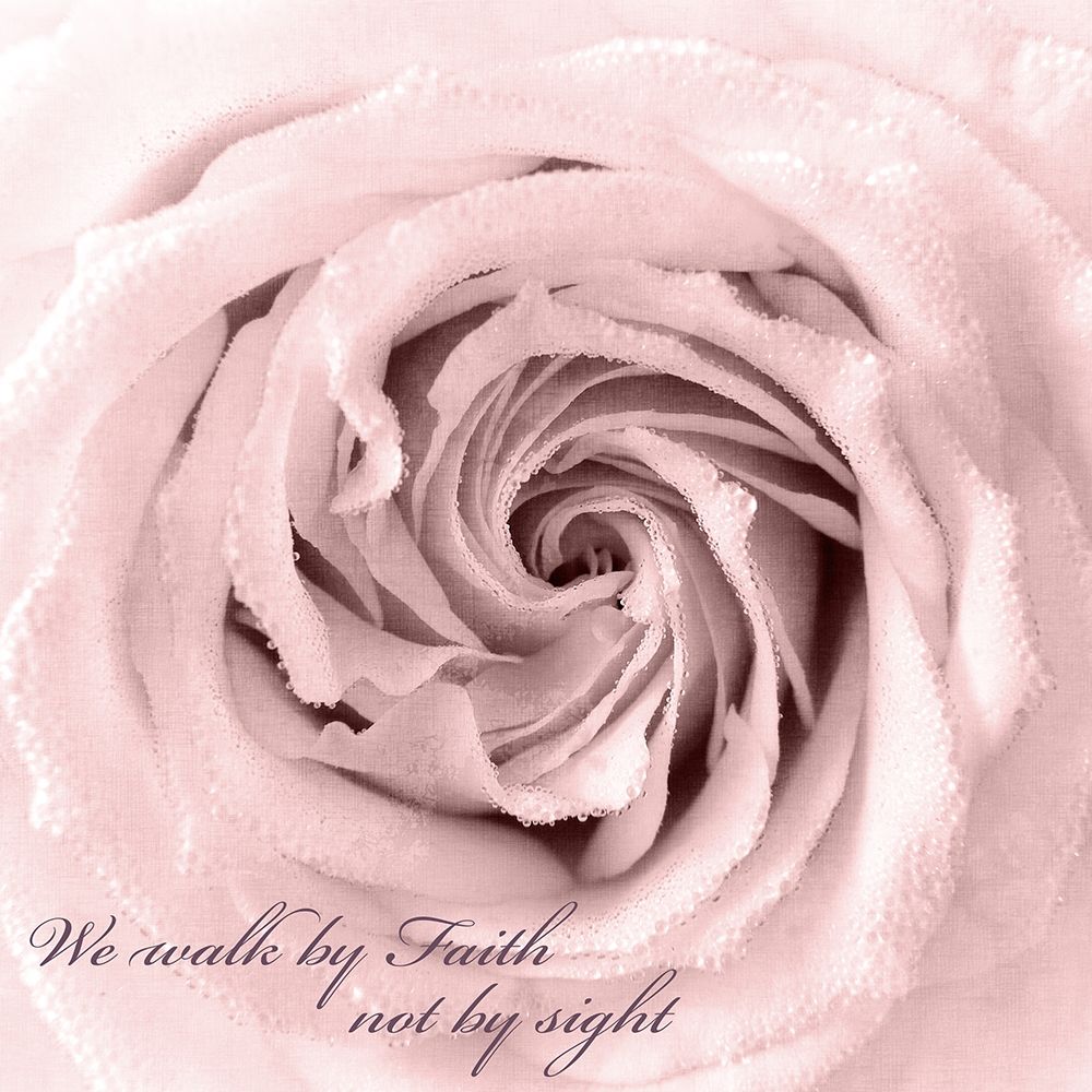 Rose Center 1 We Walk art print by Kimberly Allen for $57.95 CAD