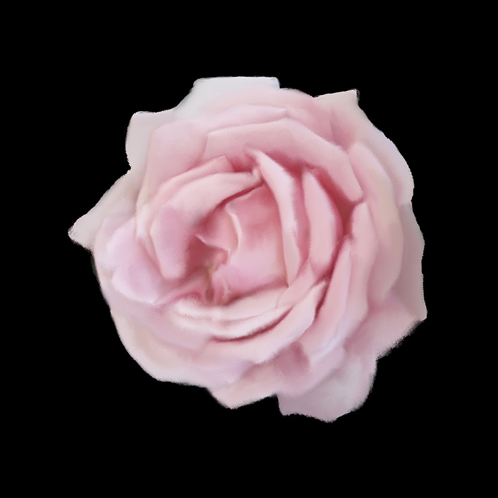 Perfume Roses 2 art print by Kimberly Allen for $57.95 CAD
