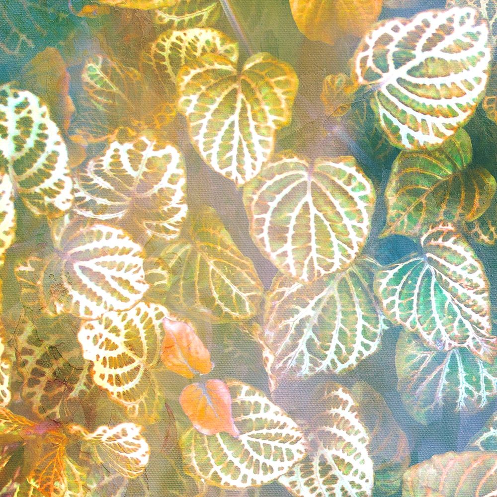 Jungle Leaves 1 art print by Kimberly Allen for $57.95 CAD