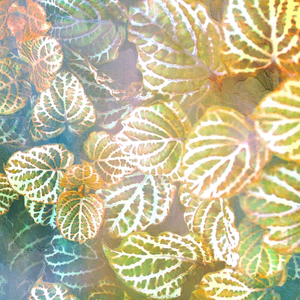 Jungle Leaves 2 art print by Kimberly Allen for $57.95 CAD