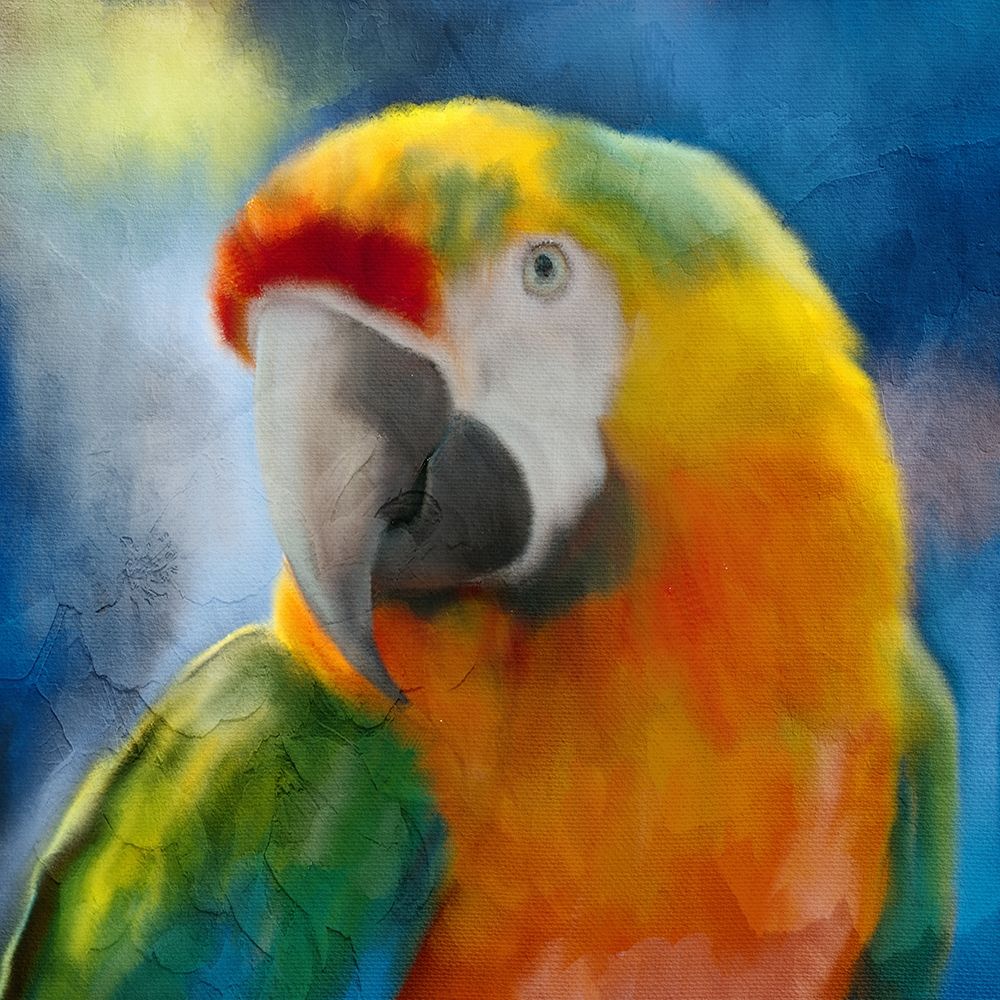 Parrot Love art print by Kimberly Allen for $57.95 CAD