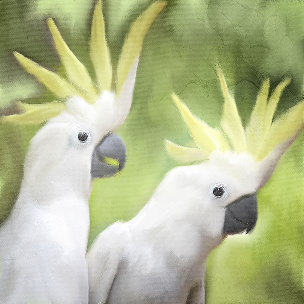 Two art print by Kimberly Allen for $57.95 CAD