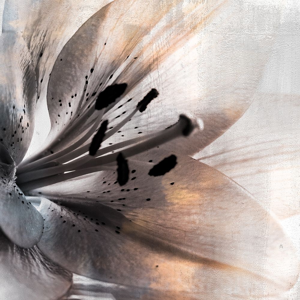Golden Lights 1 art print by Kimberly Allen for $57.95 CAD
