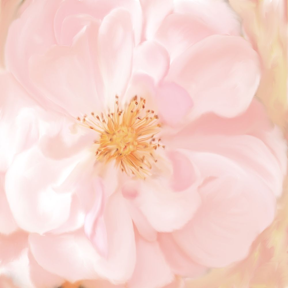 Pretty Pink art print by Kimberly Allen for $57.95 CAD