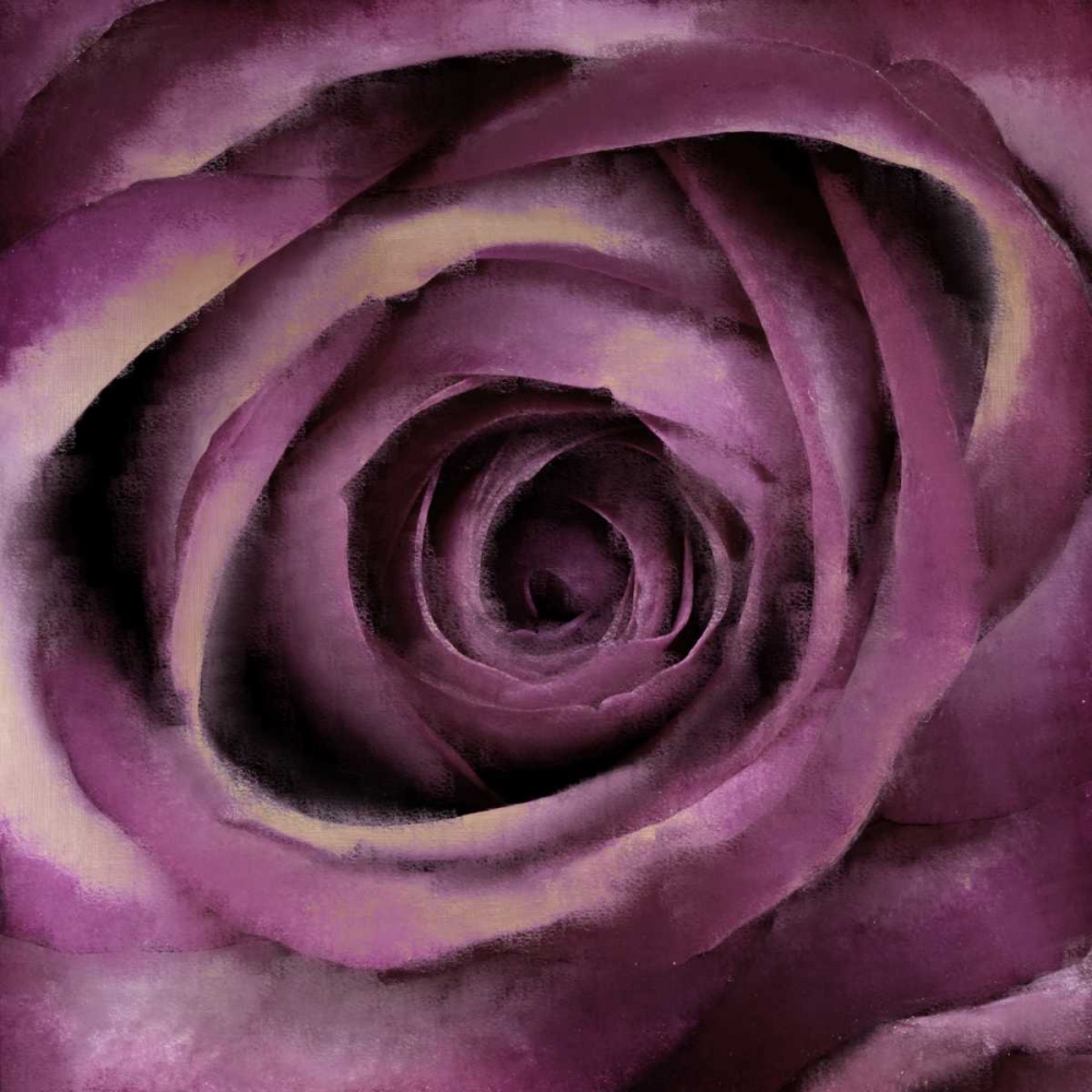 Bloom Center art print by Kimberly Allen for $57.95 CAD