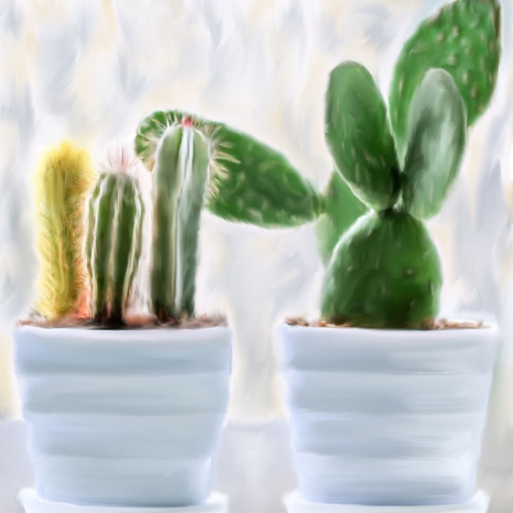 Cactus art print by Kimberly Allen for $57.95 CAD