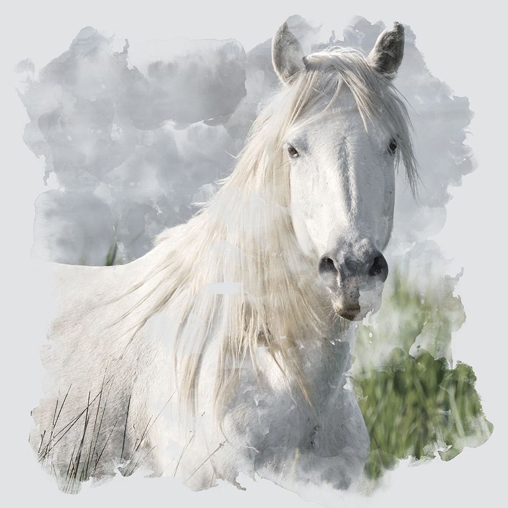 Whites art print by Kimberly Allen for $57.95 CAD