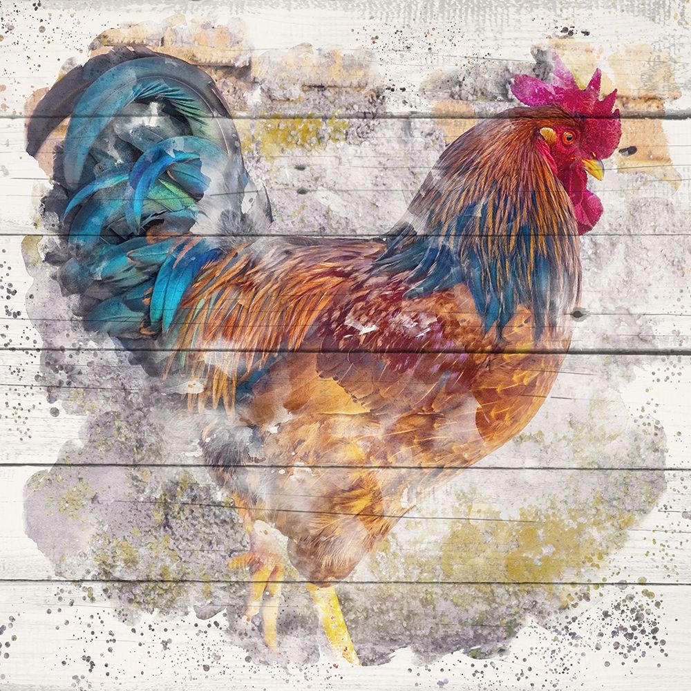 Rooster 1 art print by Kimberly Allen for $57.95 CAD