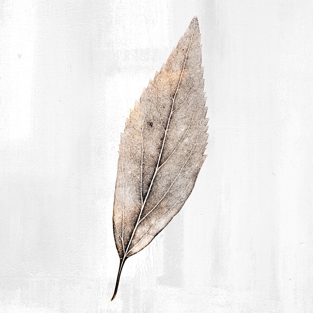 Golden Leaf 2 art print by Kimberly Allen for $57.95 CAD
