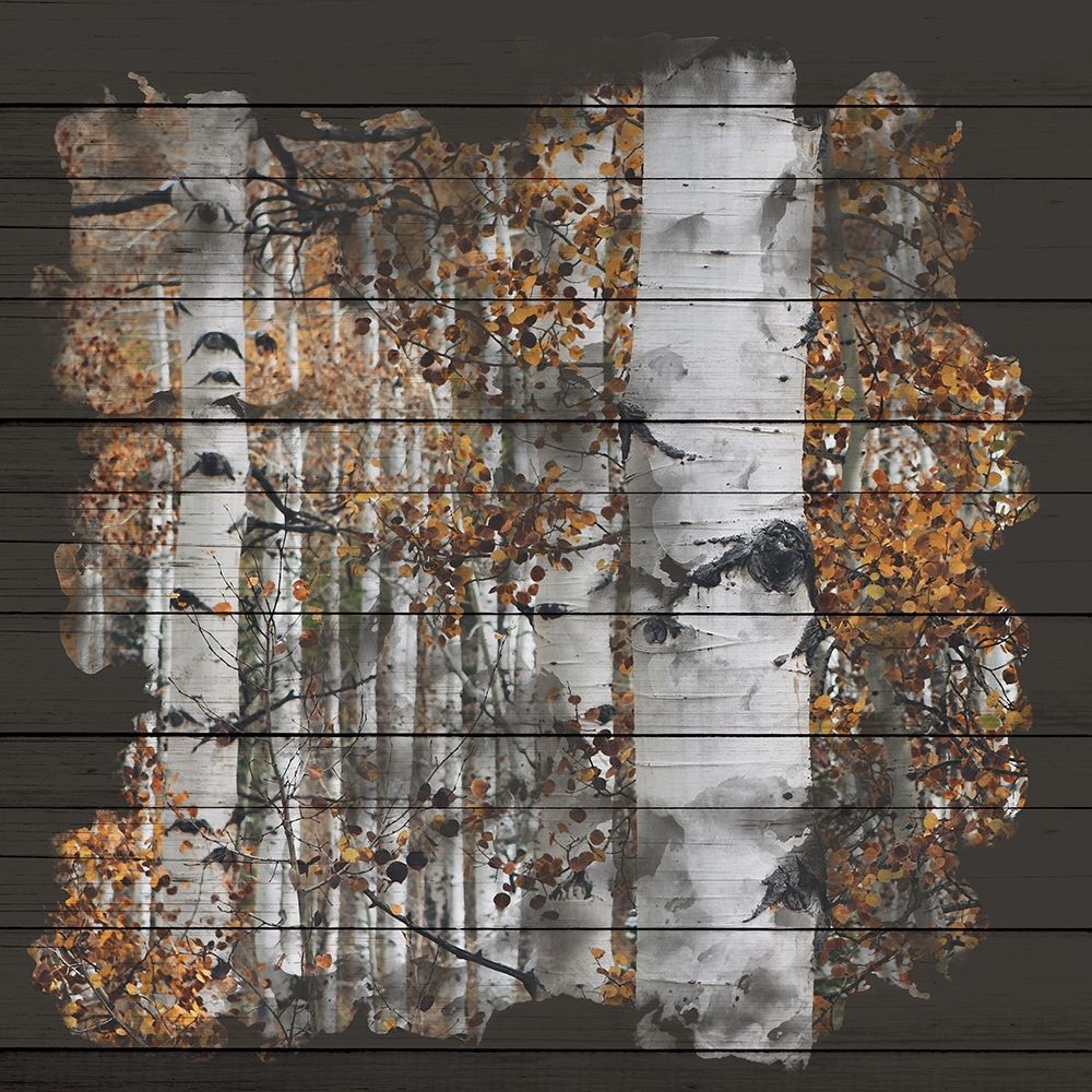 Aspen Wood 1 art print by Kimberly Allen for $57.95 CAD
