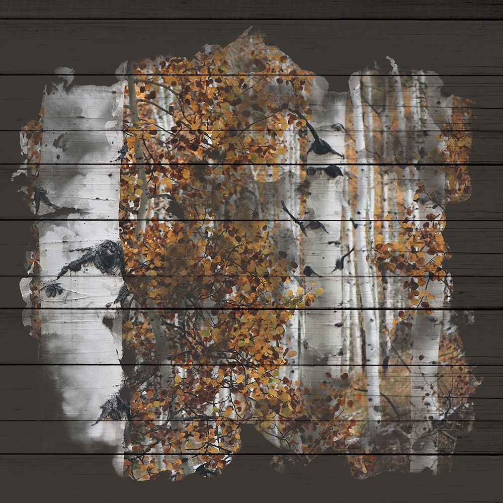 Aspen Wood 2 art print by Kimberly Allen for $57.95 CAD