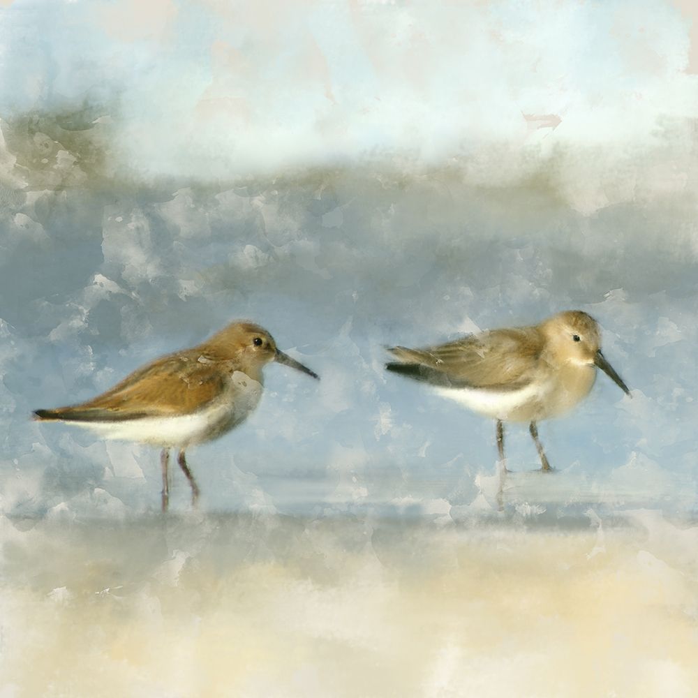 Sandpipers art print by Kimberly Allen for $57.95 CAD