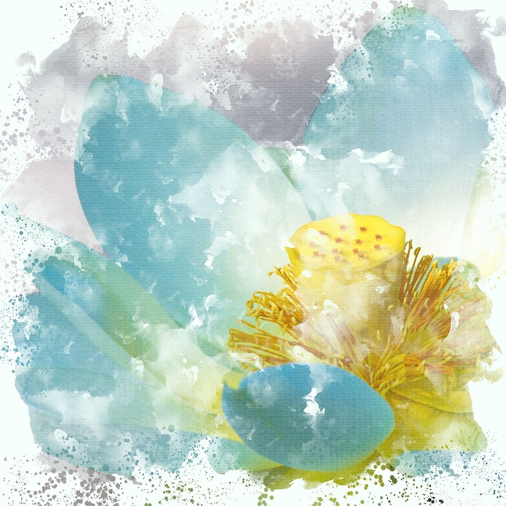 Teal Lotus 2 art print by Kimberly Allen for $57.95 CAD