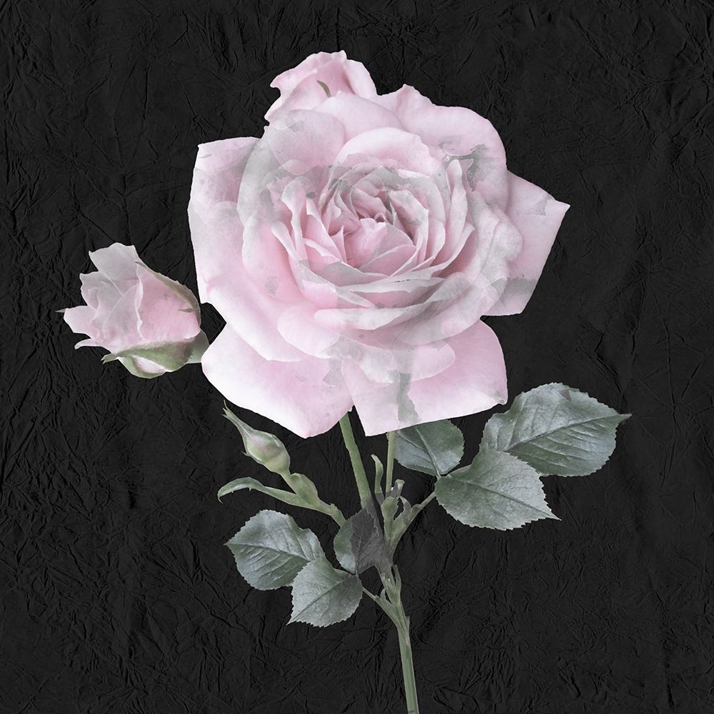 Always Choose 1 art print by Kimberly Allen for $57.95 CAD