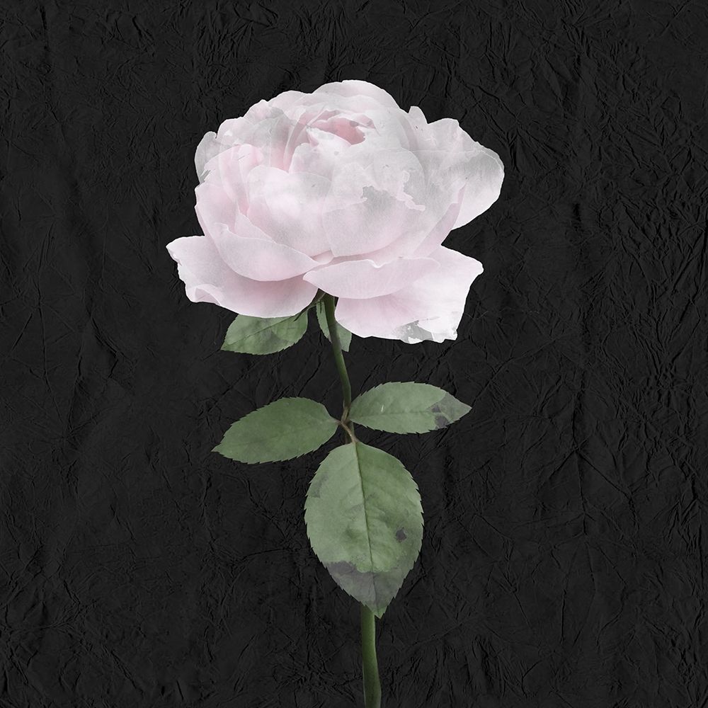 Always Choose 3 art print by Kimberly Allen for $57.95 CAD