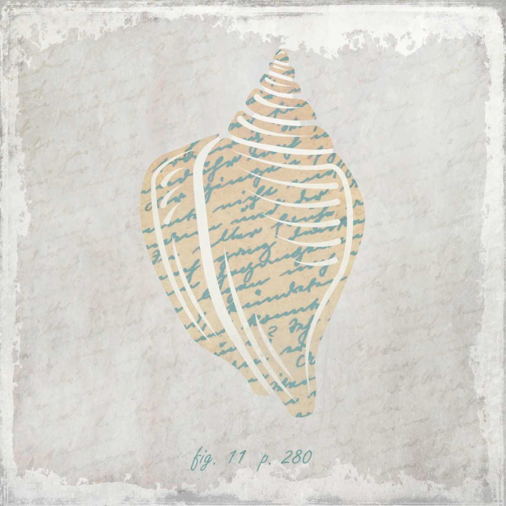 Stone Shell 1 art print by Kimberly Allen for $57.95 CAD