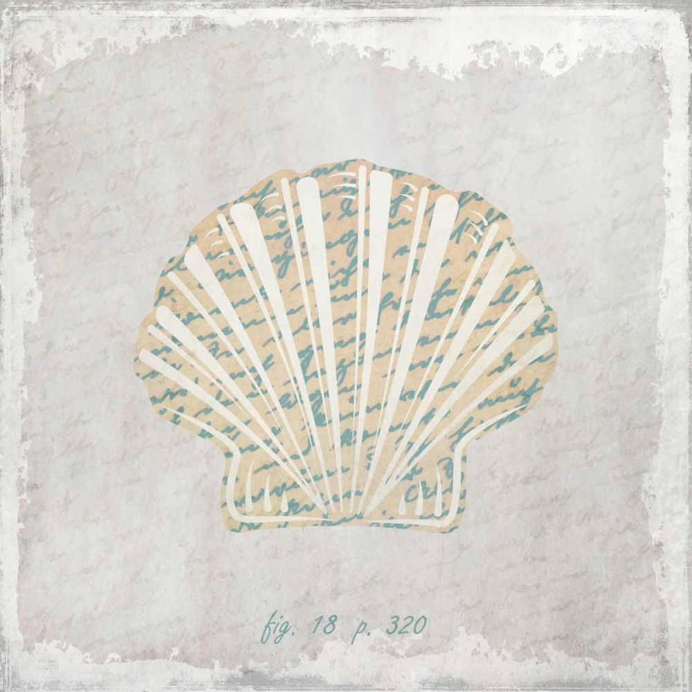 Stone Shell 2 art print by Kimberly Allen for $57.95 CAD