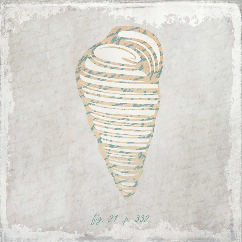 Stone Shell 3 art print by Kimberly Allen for $57.95 CAD