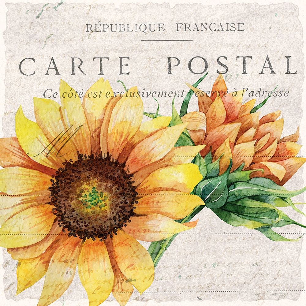Sunflower Postcard 1 art print by Kimberly Allen for $57.95 CAD