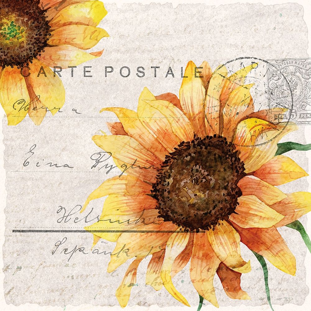 Sunflower Postcard 2 art print by Kimberly Allen for $57.95 CAD