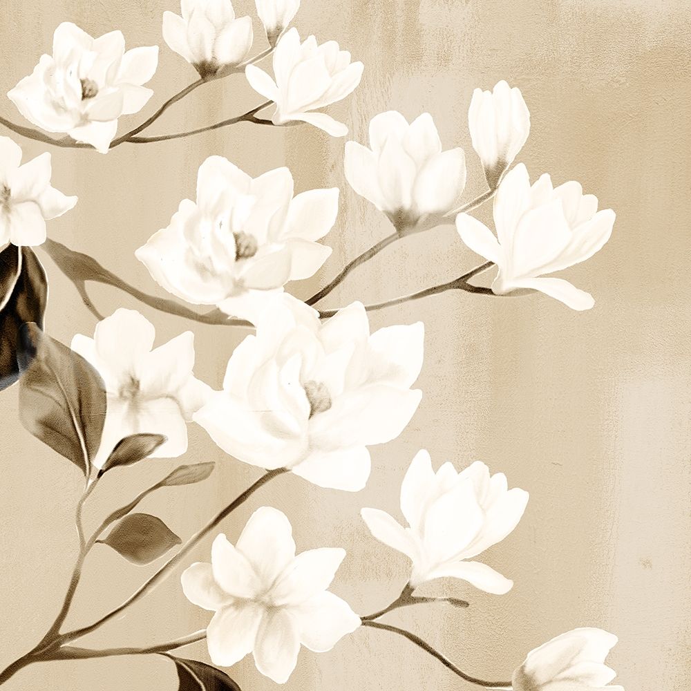 Magnolia art print by Kimberly Allen for $57.95 CAD