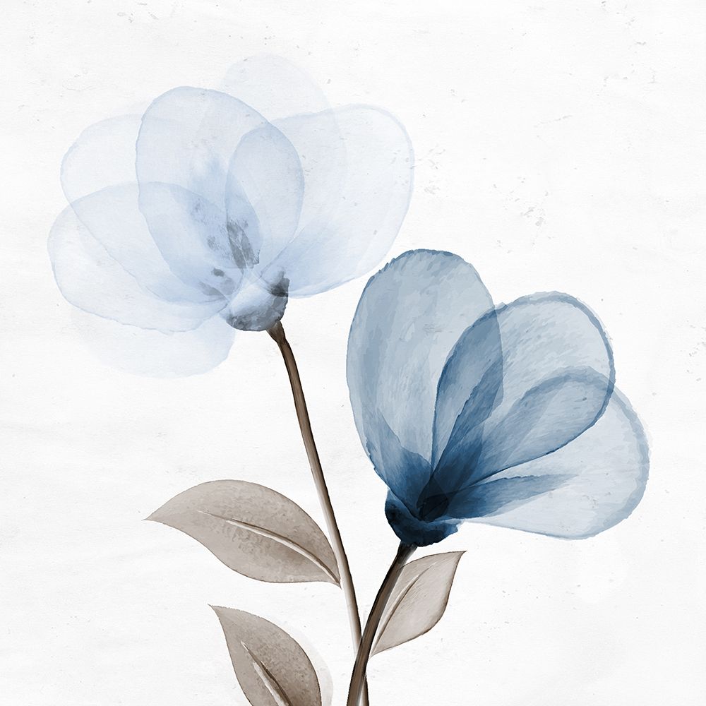 Open Bloom 1 V2 art print by Kimberly Allen for $57.95 CAD