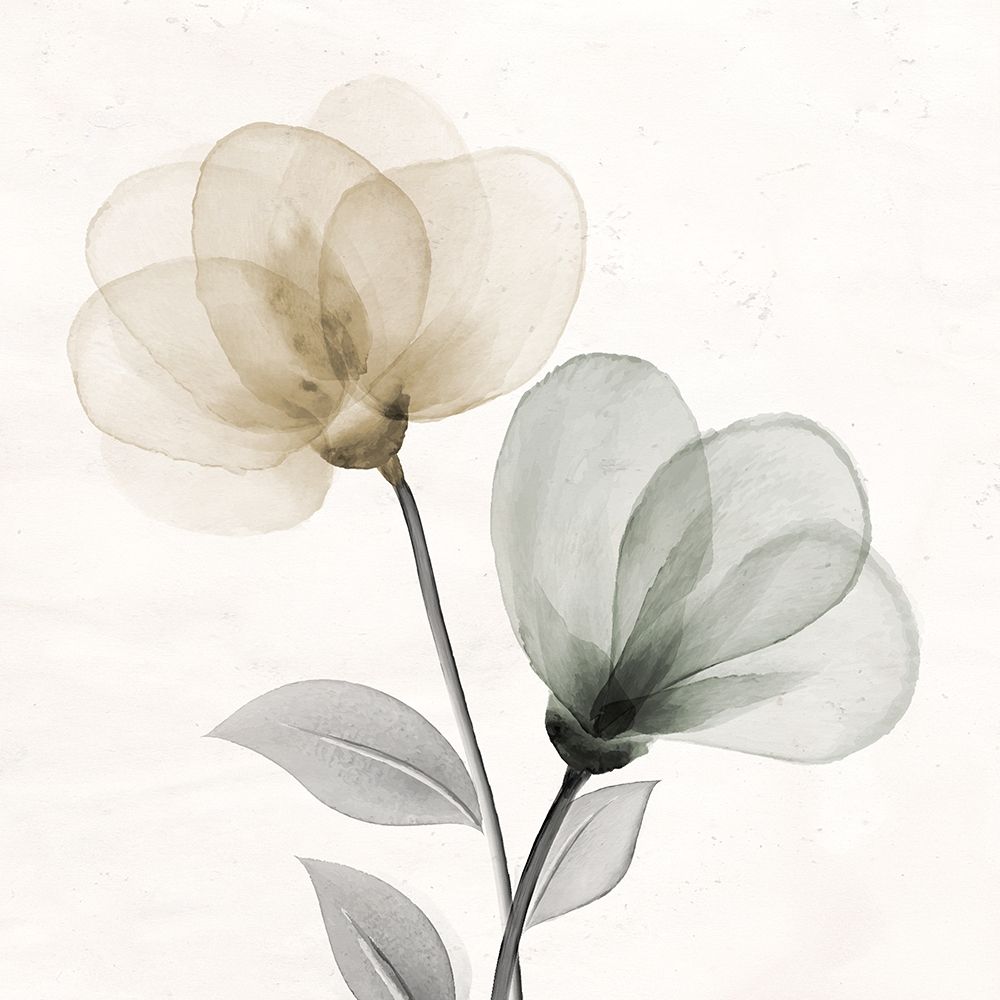 Open Bloom 1 art print by Kimberly Allen for $57.95 CAD