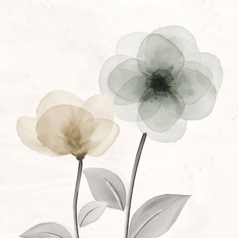 Open Bloom 2 art print by Kimberly Allen for $57.95 CAD
