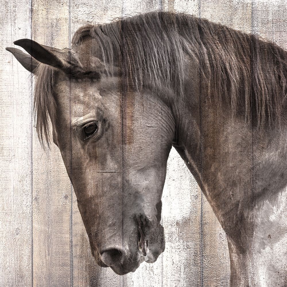 King art print by Kimberly Allen for $57.95 CAD