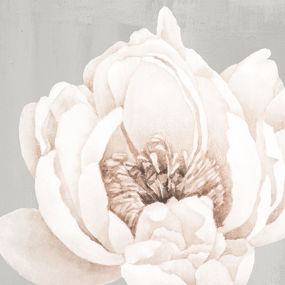 Neutral Peony 1 art print by Kimberly Allen for $57.95 CAD