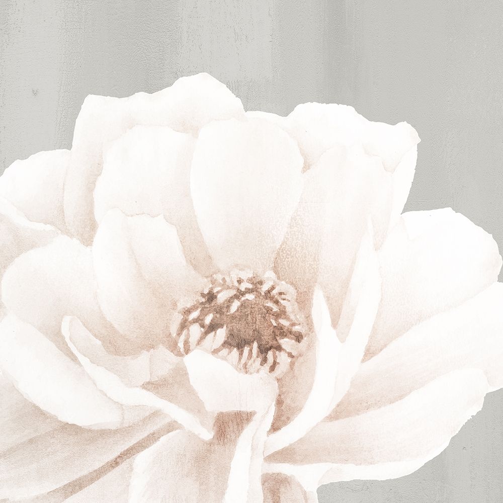 Neutral Peony 2 art print by Kimberly Allen for $57.95 CAD